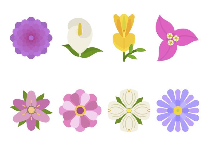 Flat Flower Vectors