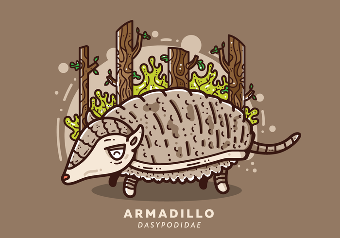 Vector Armadillo gratis