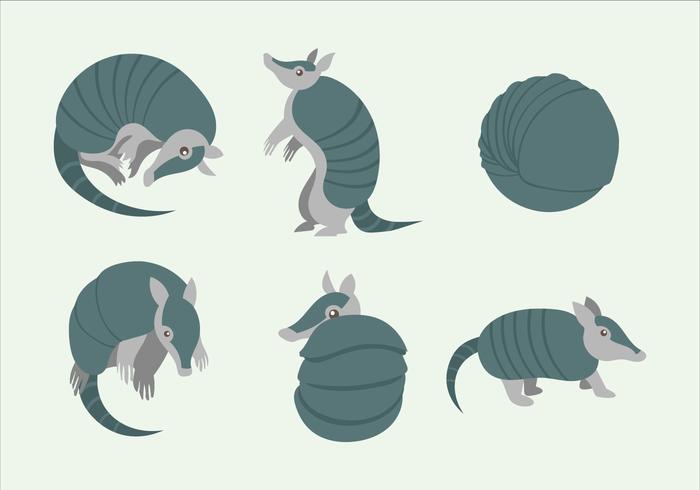 Armadillo Carácter Pose Vector Plano Ilustración