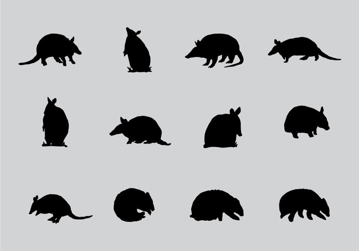 Armadillo Sillhaouttes vector