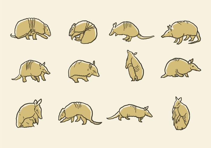 Iconos Del Armadillo Vector