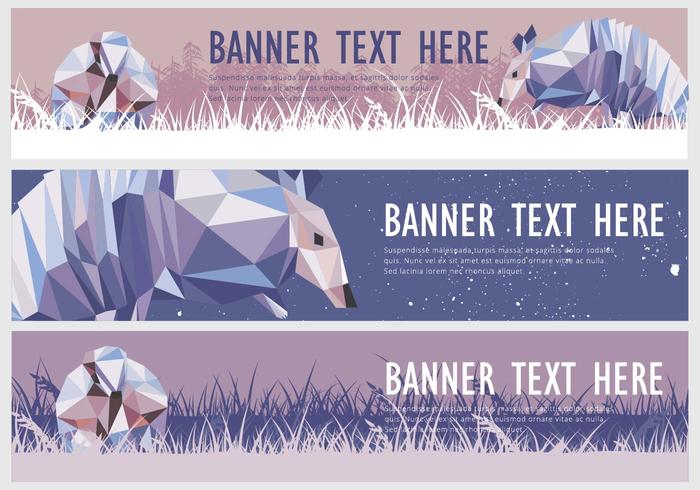 Web Banner Armadillo Vector