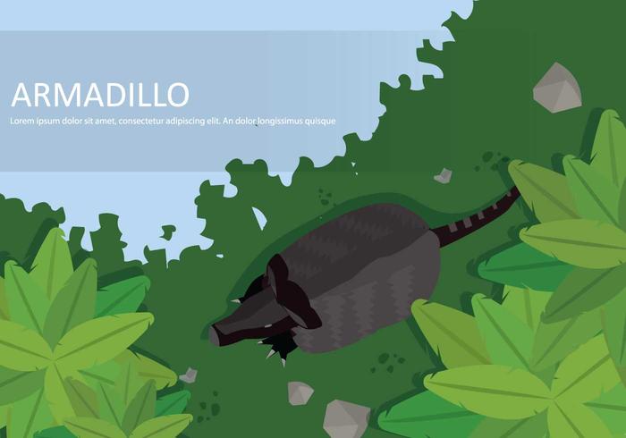 Armadillo Gratis De La Ilustración De La Vista Superior vector