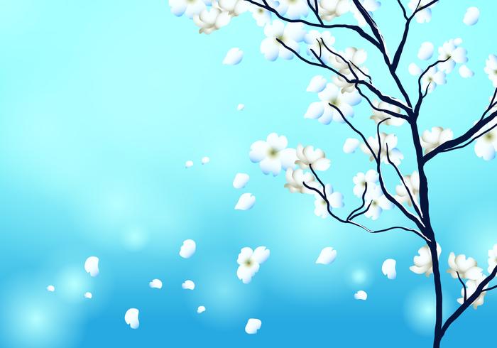 Dogwood Tree Background Vector 