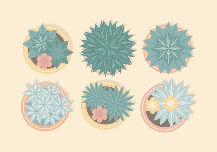 Vector de Plantas Potted