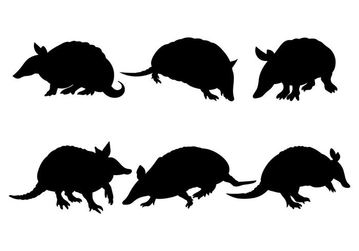 Iconos Del Vector Del Armadillo