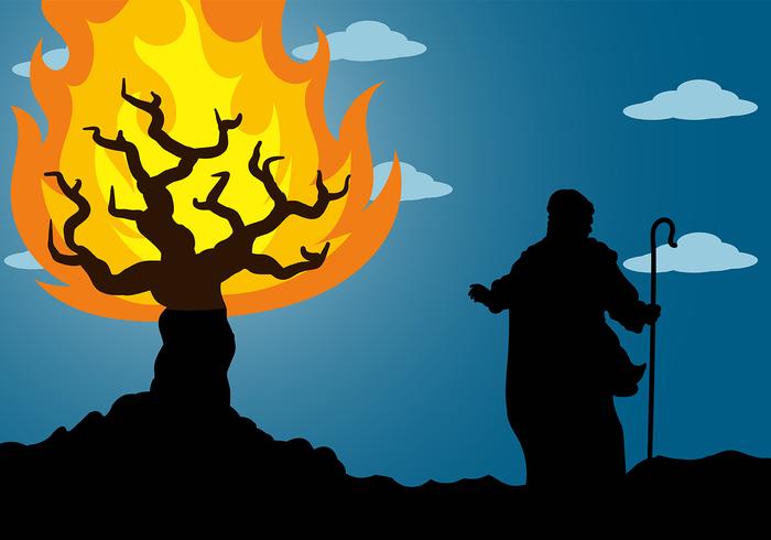 Burning Bush Background Vector