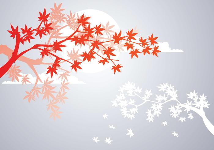 Smooth Japanese Maple Plant and Fall Maple Leaves Background vector