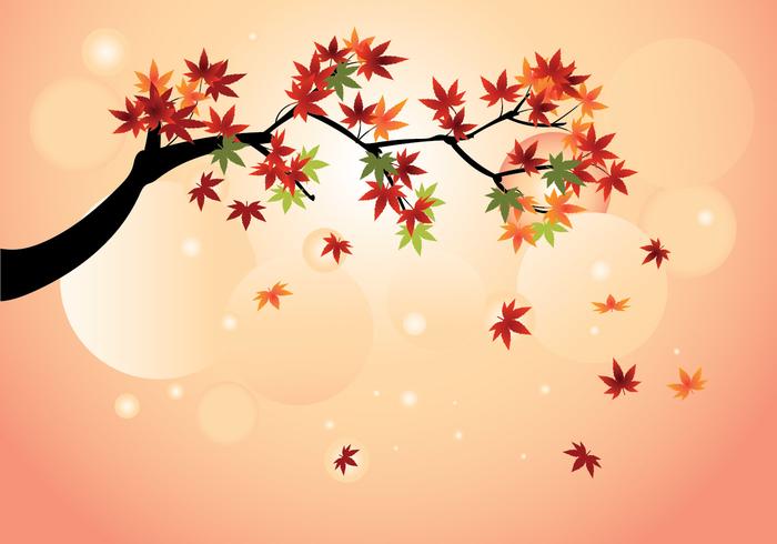 Smooth Japanese Maple with Fall Maple Leaves Vector 