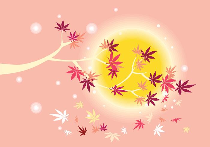 Smooth Japanese Maple Plant with Sun Background and Fall Maple Leaves vector