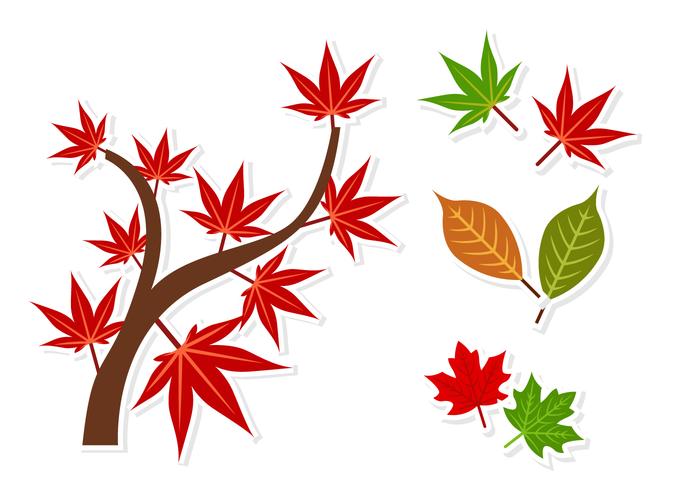 Japanese Maple Sticker Vectors 