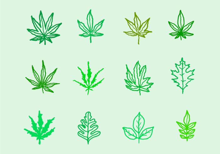 Maple Leaves Vector Pack