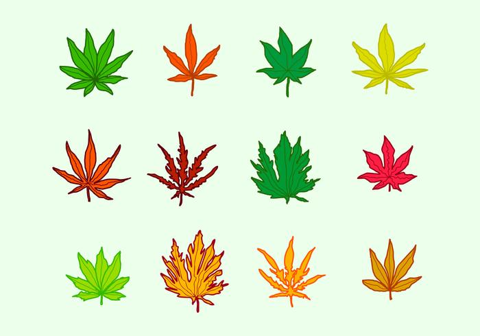 Japanese Maple Leaves vector