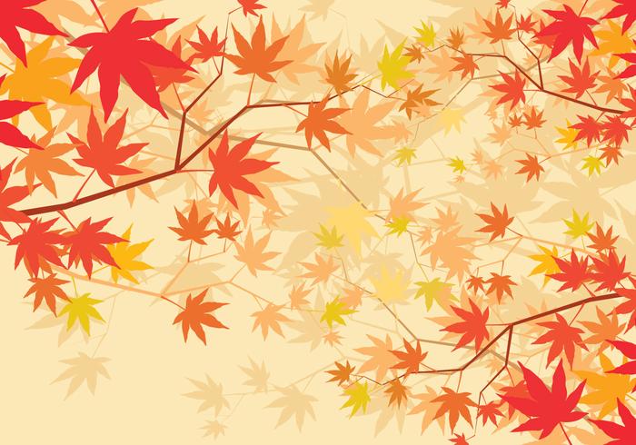 Japanese Maple Background vector