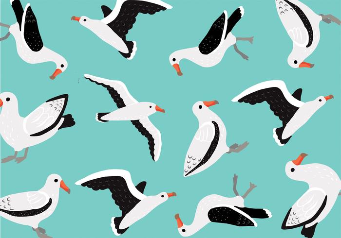 Albatross Pattern Vector