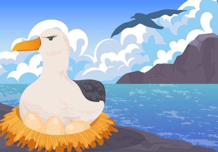 Albatros Nesting on Egg Vector Scene 