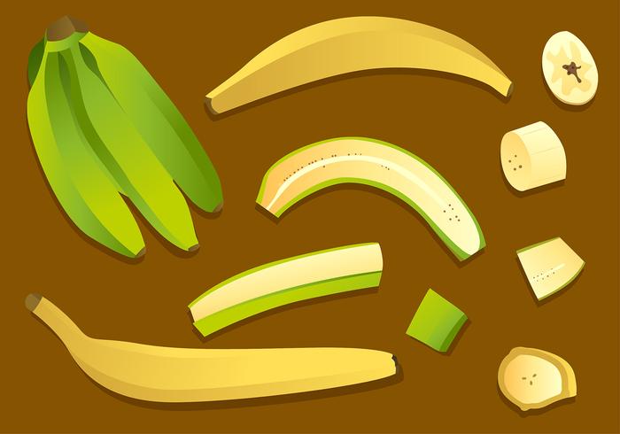 Plantain Set Free Vector