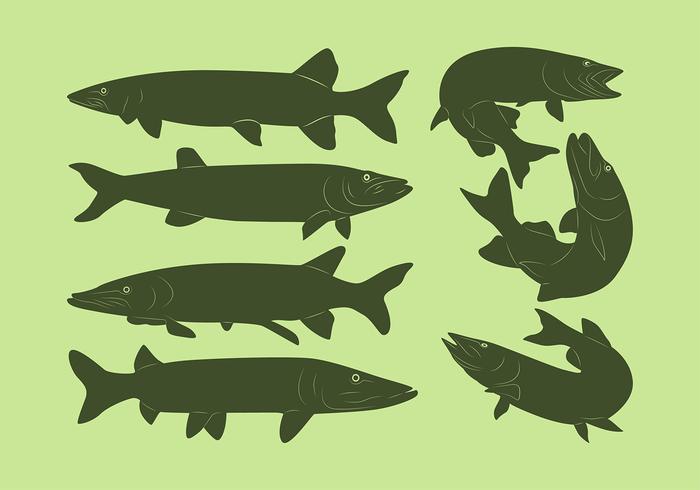 Muskie Fish Silhouette Free Vector