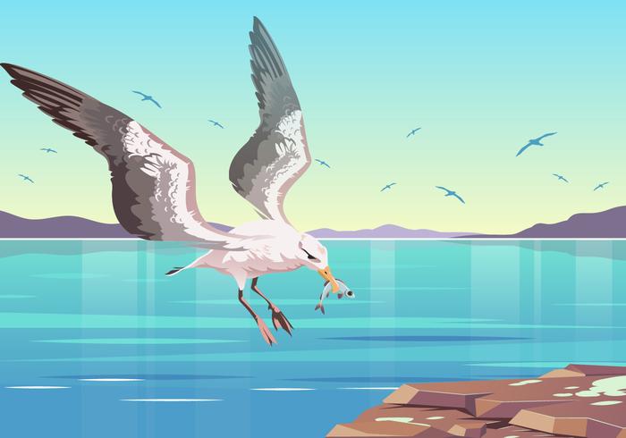 Albatross Catching A Fish Vector 