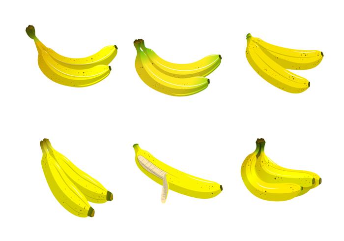 Plaintain Banana Fruit Vector Collection