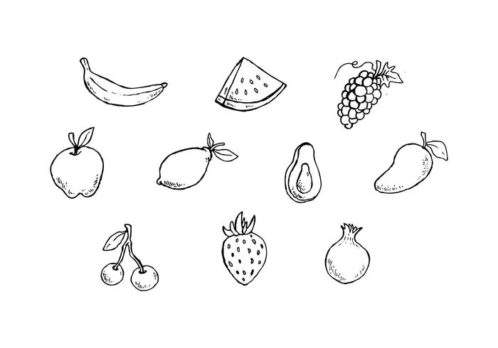 Libre Frutas Sketch Vector Icono