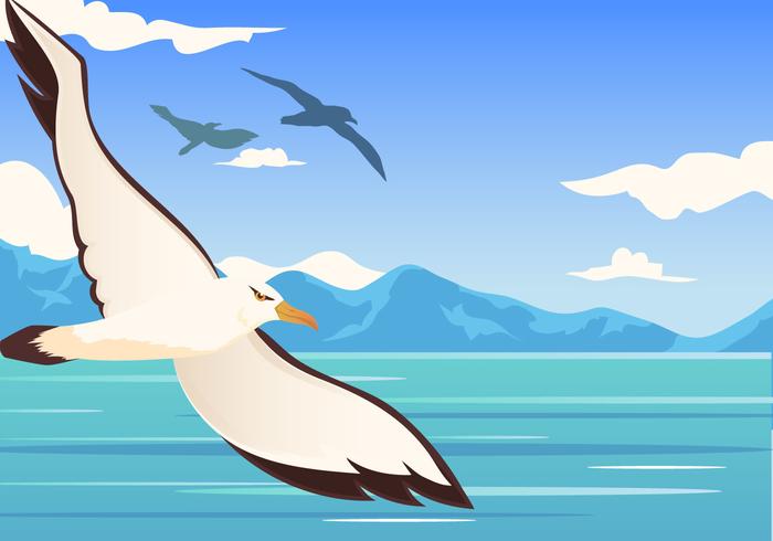 Albatross Bird Flying vector