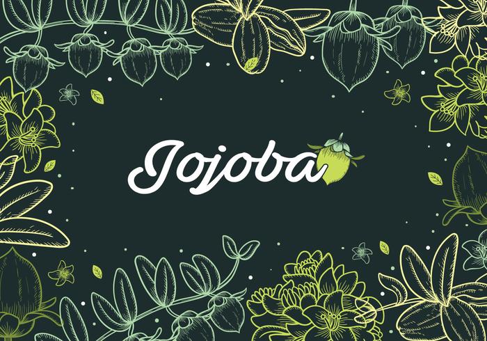 Jojoba Handdrawn de fondo vector