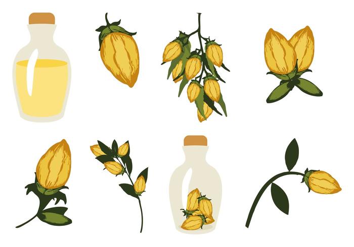 Free Jojoba Vector