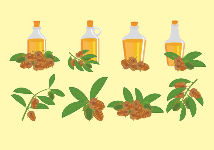 Jojoba conjunto de iconos vector