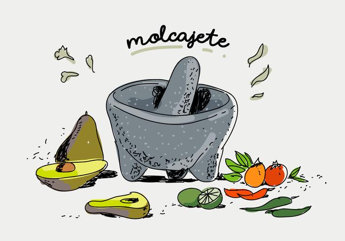 Molcajete condimento mexicano dibujado a mano ilustración vectorial vector