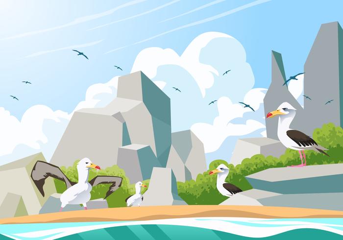 Albatross Birds on Rocky Beach Vector 