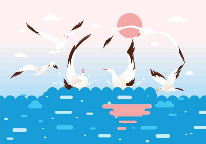 Flock of Albatross Birds Vector