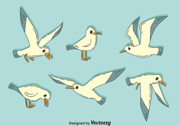 Hand Drawn Albatross Vector