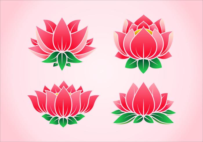 Pink Lotus Flower Vectors 