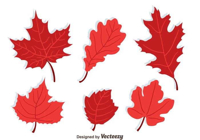 Japanese Maple Collection Vector