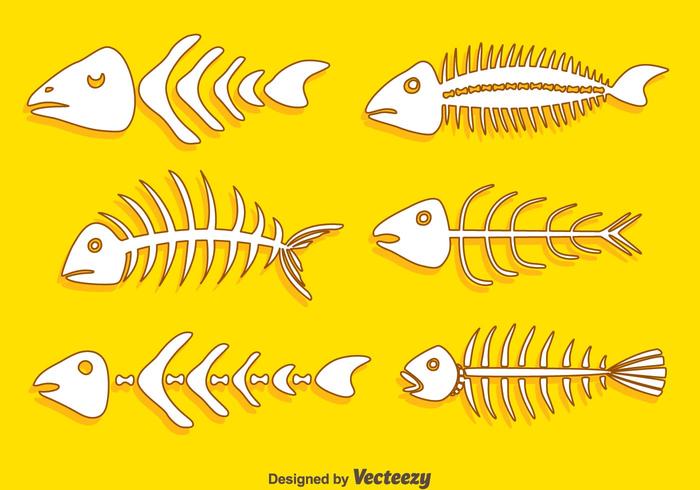 Hand Drawn Fishbone Collection Vector