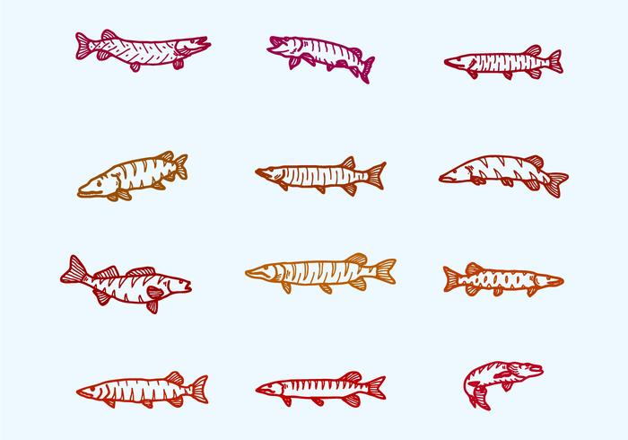 Muskie Icons Set vector