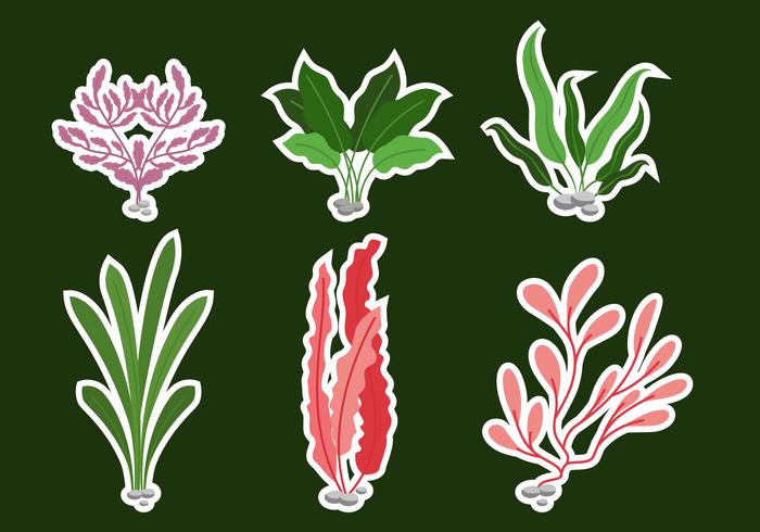 Red And Green Sea Weed vector