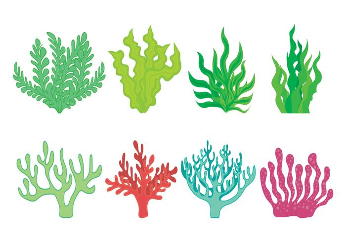 Sea Weed Icons Set vector