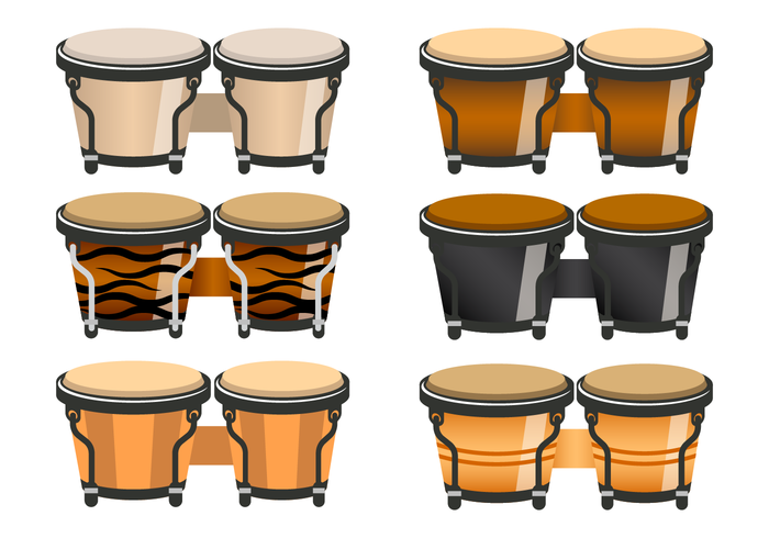 Realistic Bongo Vector