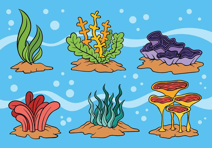 Sea Weed Vector Icons