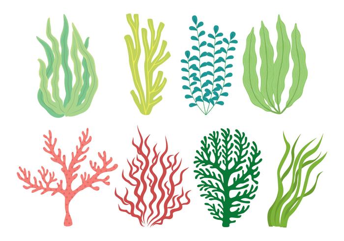 Sea Weed Icon Set vector