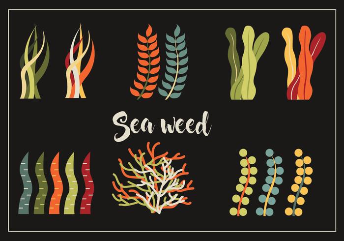 Sea Weed Vector Pack