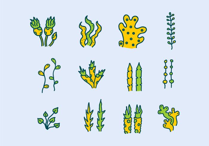 Sea Plants And Seaweed vector