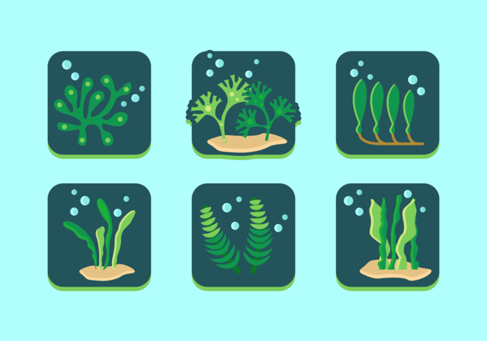 Sea Weed Free Vector Pack Sea Weed Free Vector Pack