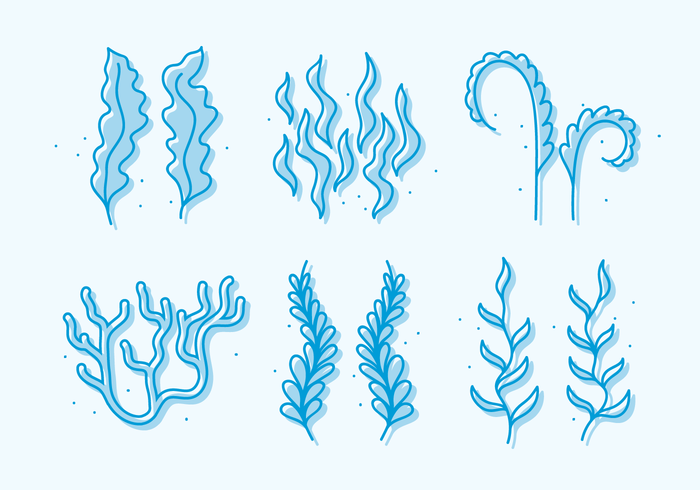 Sea Weed doodle Vector