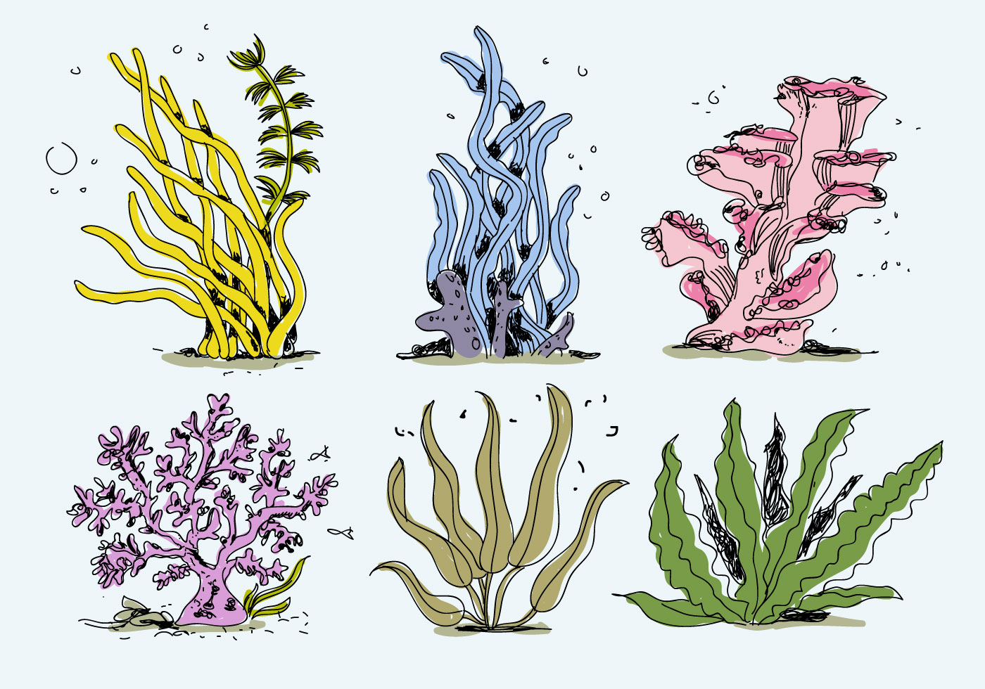 Download Colorful Sea Weed Collections Hand Drawn vector Illustration for f...