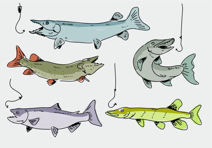 Muskie peces dibujado a mano Doodle ilustración vectorial vector
