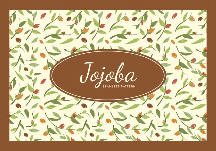 Jojoba patrón transparente vector libre