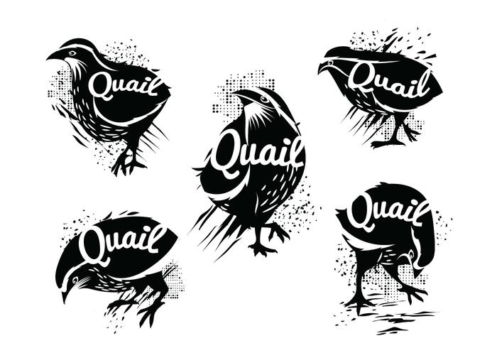 Illustration of Silhouette of Standing Common Quail with Grunge Style vector